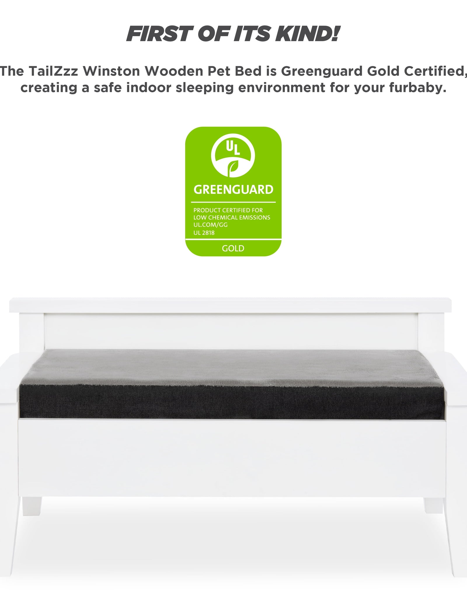 Winston Small Elevated Wooden Pet Bed with Plush Mattress, White