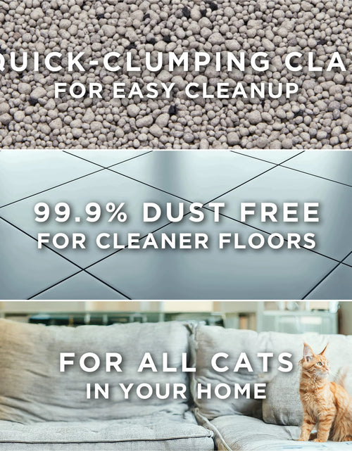 Load image into Gallery viewer, Purina  Free and Clean Clumping Cat Litter, Unscented, 35 Lb Pail

