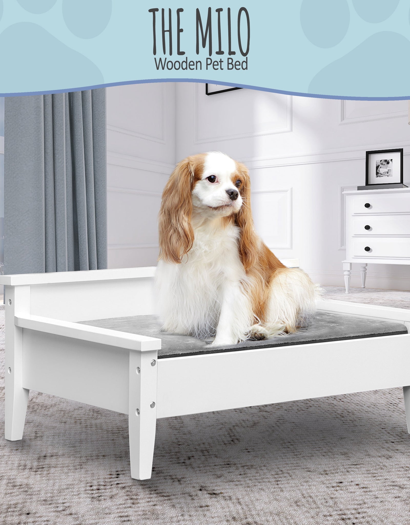Winston Small Elevated Wooden Pet Bed with Plush Mattress, White