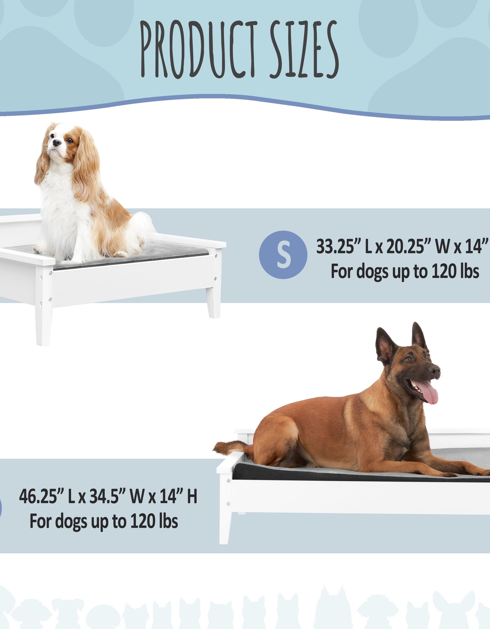 Winston Small Elevated Wooden Pet Bed with Plush Mattress, White