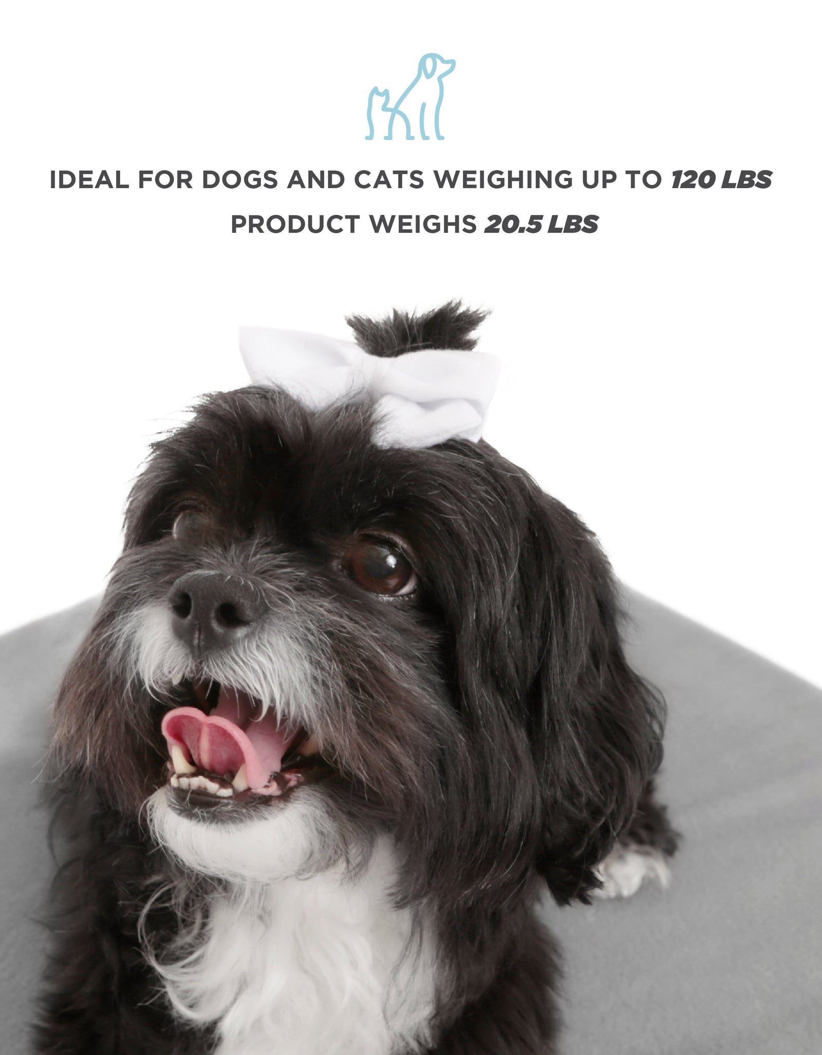 Winston Small Elevated Wooden Pet Bed with Plush Mattress, White