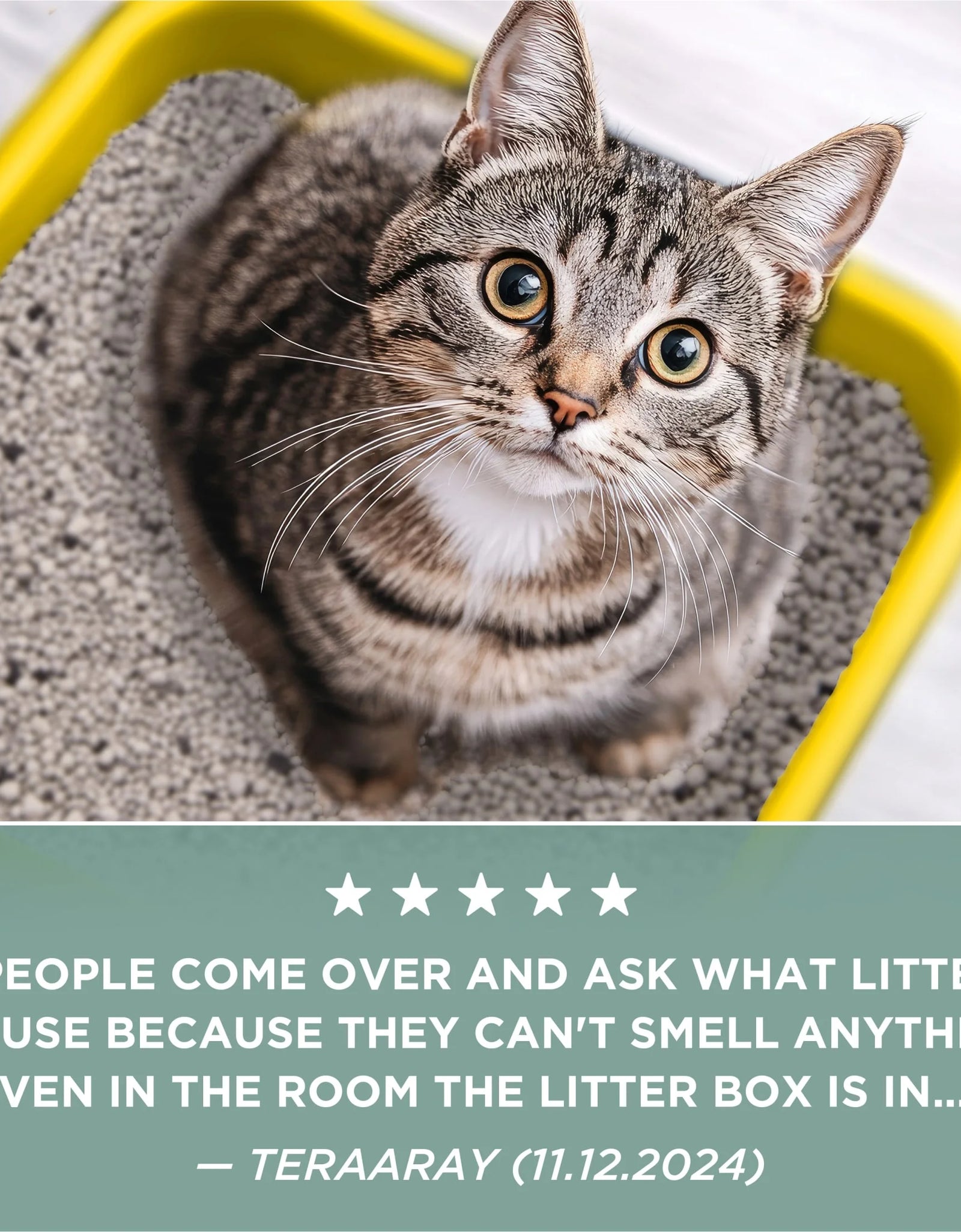 Purina  Free and Clean Clumping Cat Litter, Unscented, 35 Lb Pail